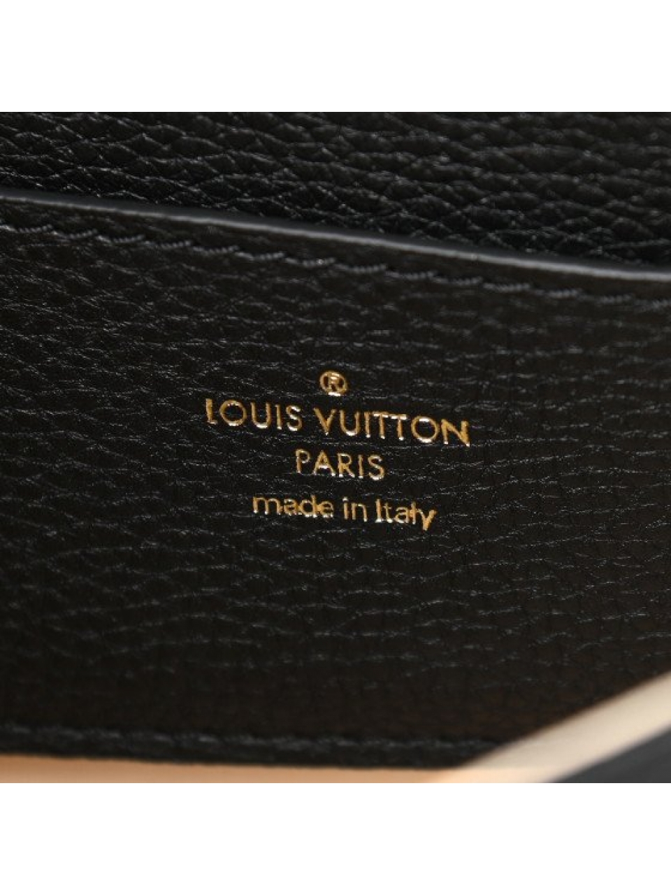 Сумка через плечо Louis Vuitton LV Pont 9 Soft